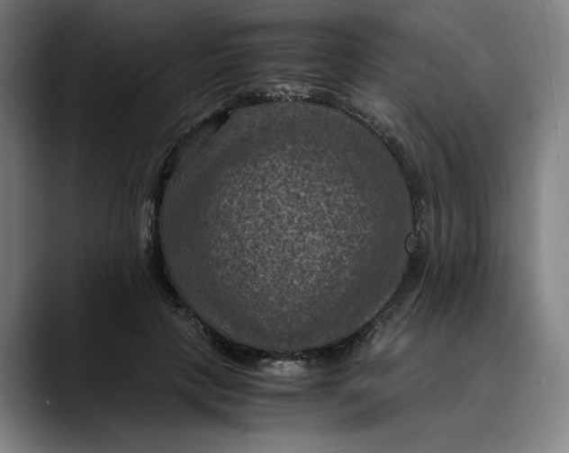 X0000089690649200707121337