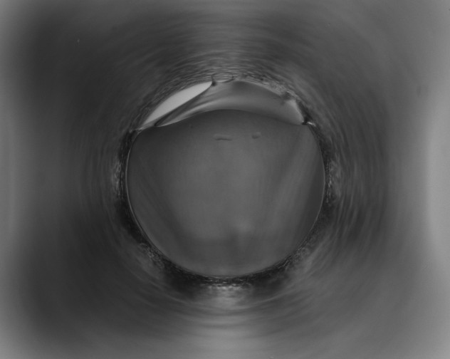 X0000089690650200707121337