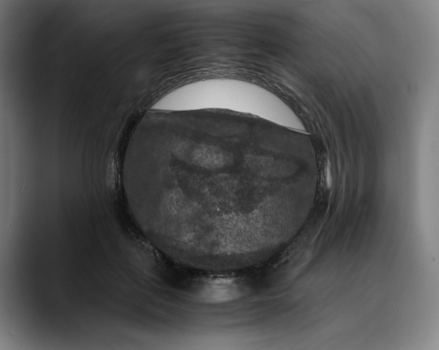 X0000089690651200707121337