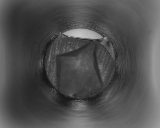 X0000089690652200707121337