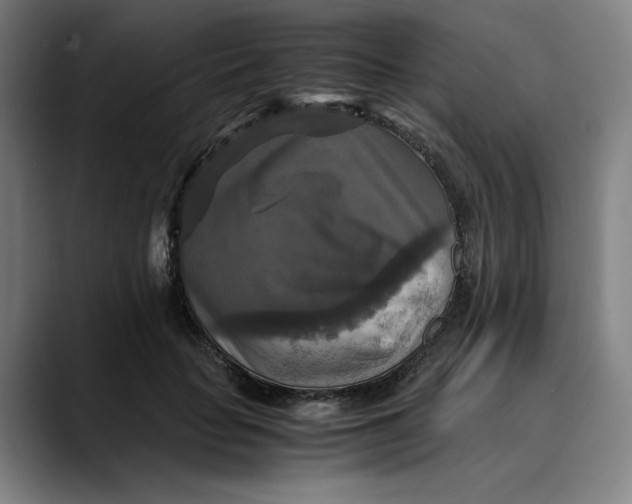 X0000089690653200707121337