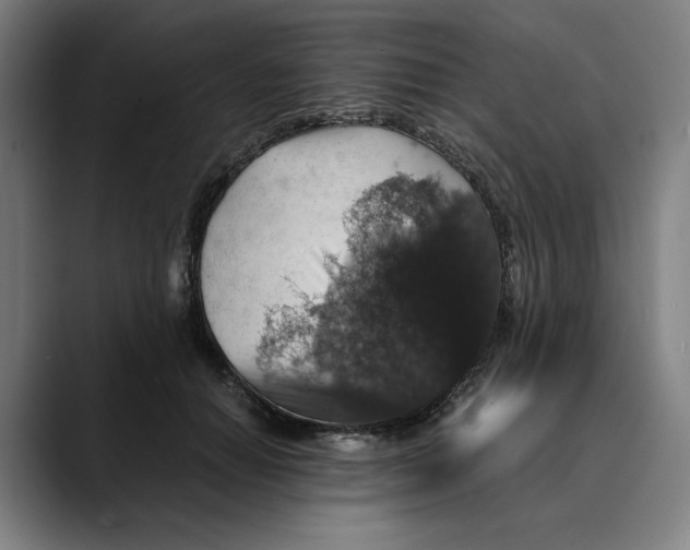 X0000089690654200707121337