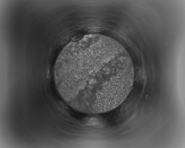 X0000089690655200707121337