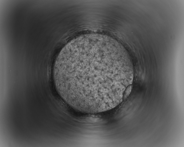 X0000089690656200707121337