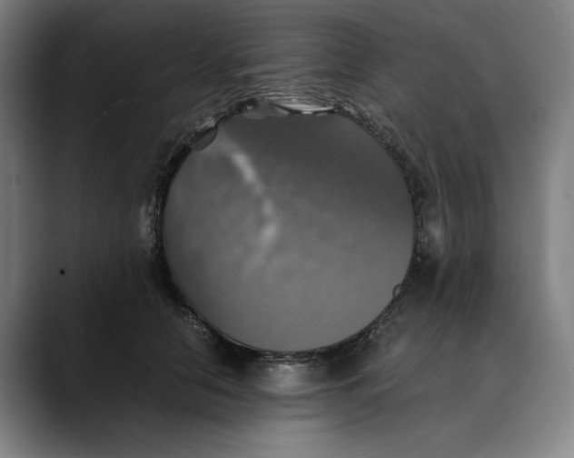 X0000089690658200707121337