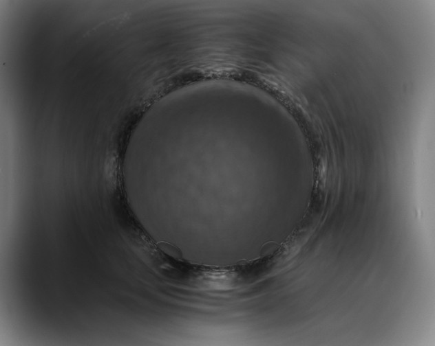 X0000089690659200707121337