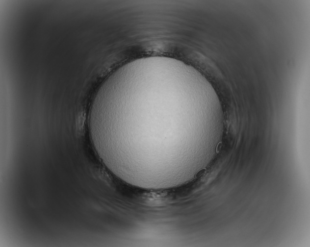 X0000089690660200707121337