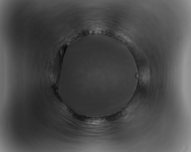 X0000089690661200707121337