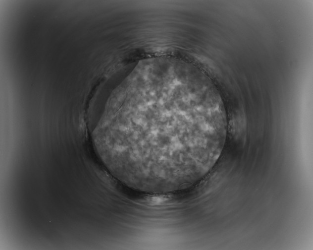 X0000089690662200707121337