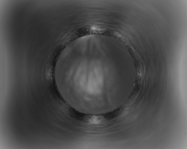 X0000089690663200707121337