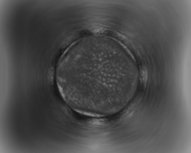 X0000089690664200707121337