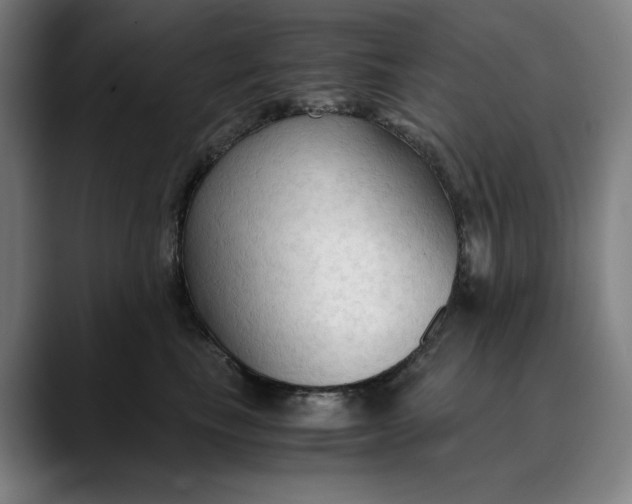 X0000089690665200707121337