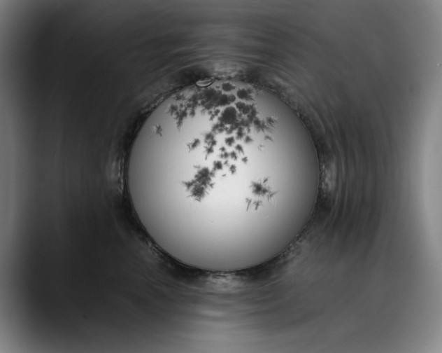 X0000089690666200707121337