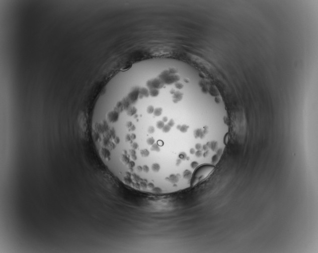 X0000089690667200707121337