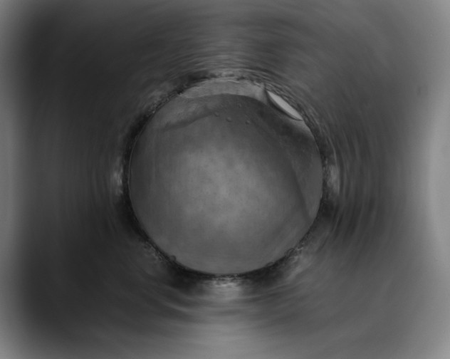 X0000089690668200707121337