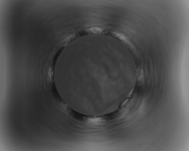 X0000089690669200707121337