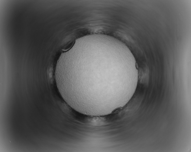 X0000089690670200707121337