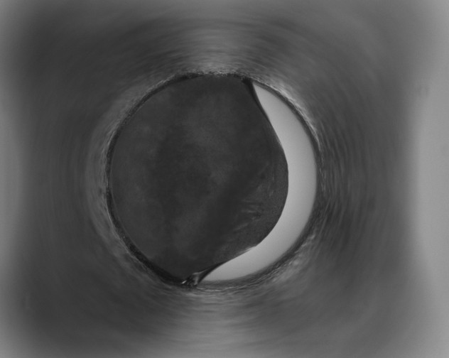 X0000089690673200707121336