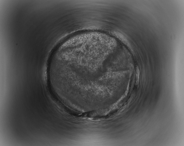 X0000089690676200707121336