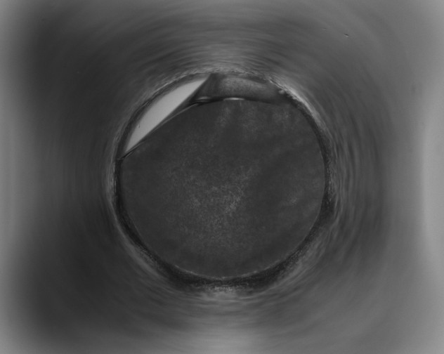 X0000089690677200707121336