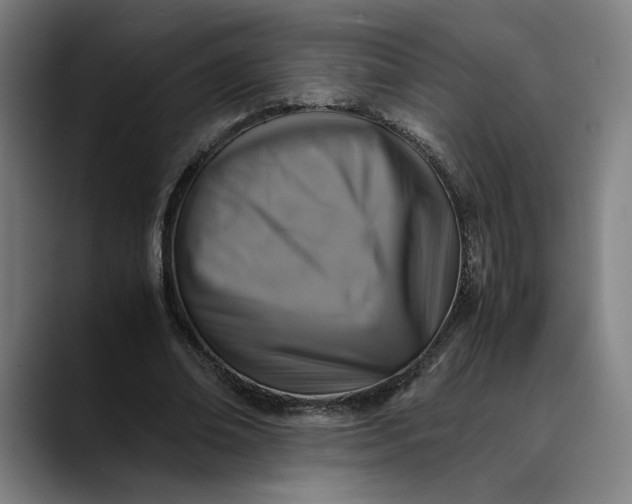 X0000089690678200707121336