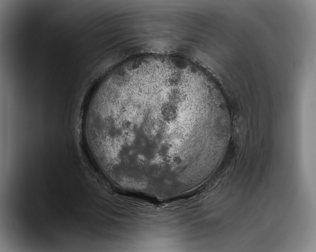 X0000089690679200707121336