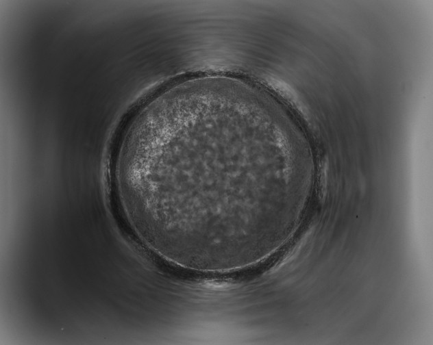 X0000089690680200707121336