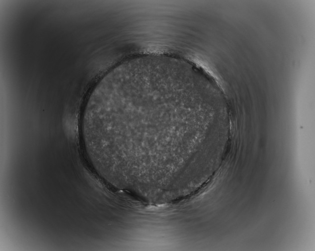 X0000089690681200707121336