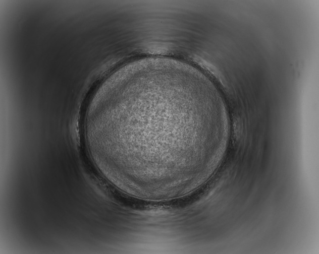 X0000089690682200707121336