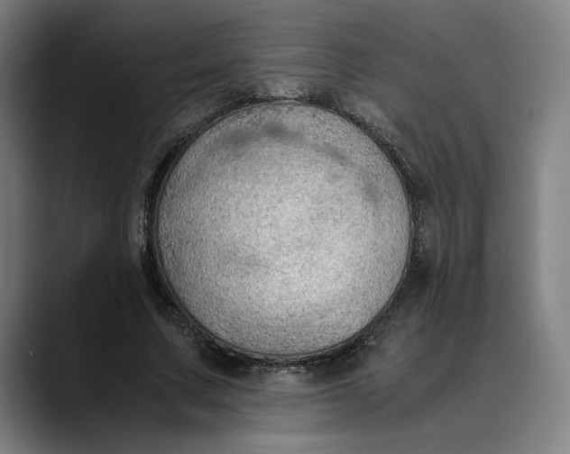 X0000089690683200707121336