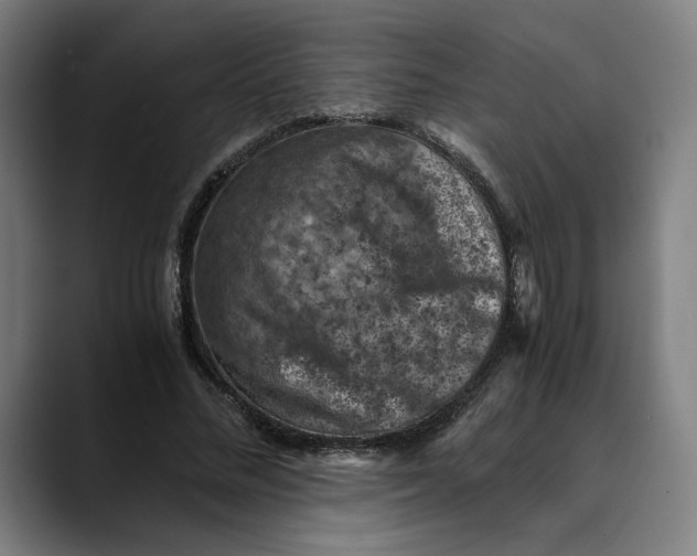 X0000089690684200707121336