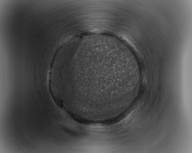 X0000089690685200707121336