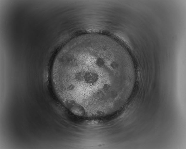 X0000089690687200707121336