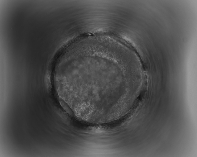 X0000089690688200707121336