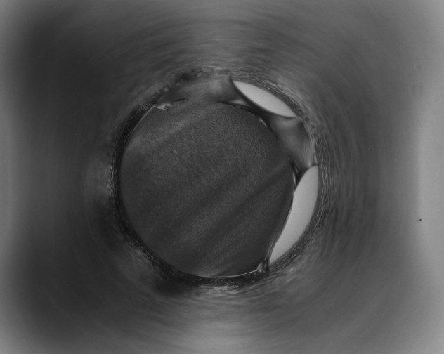 X0000089690689200707121336