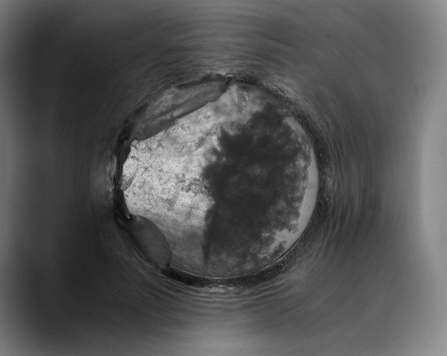 X0000089690691200707121336