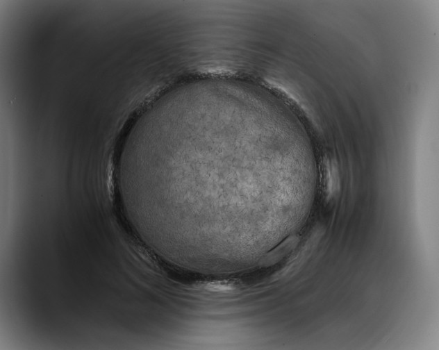 X0000089690692200707121336