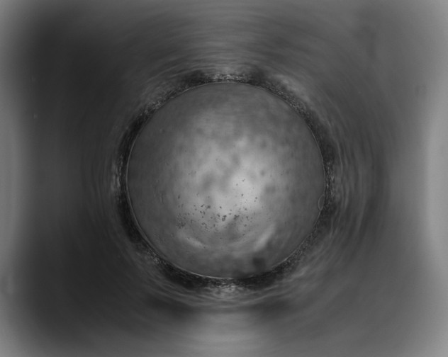 X0000089690695200707121336