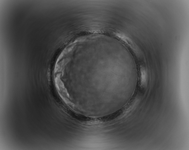 X0000089690696200707121336