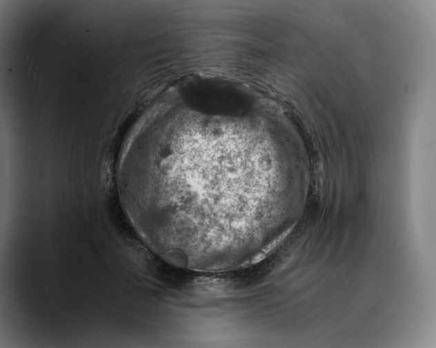 X0000089690699200707121336