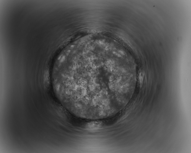 X0000089690700200707121336