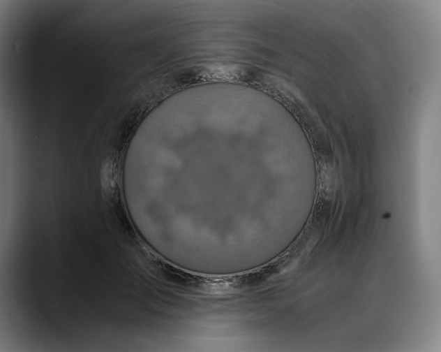 X0000089690701200707121336