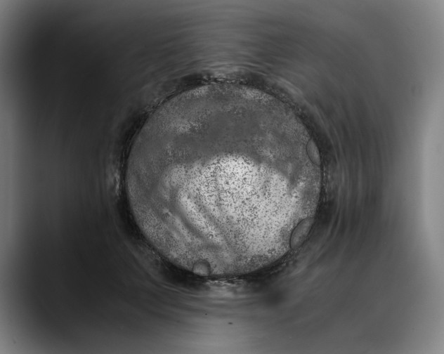 X0000089690703200707121336