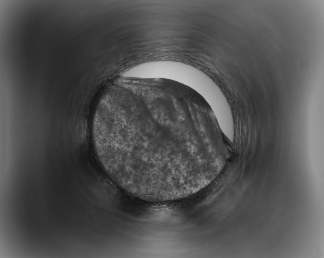 X0000089690704200707121336