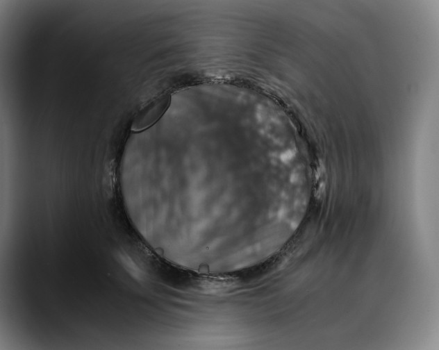 X0000089690707200707121336