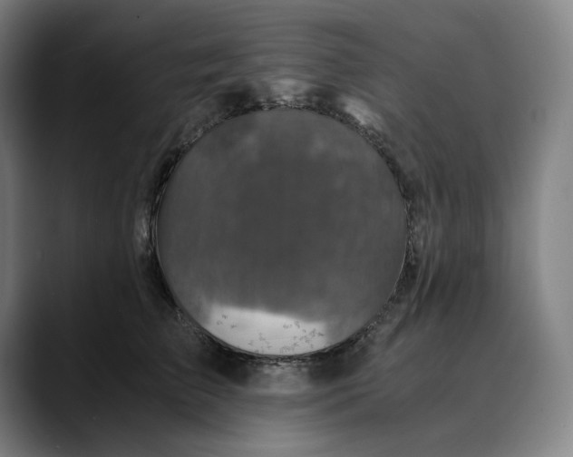 X0000089690709200707121336