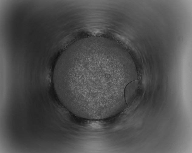 X0000089690710200707121336