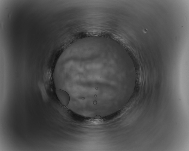 X0000089690711200707121336