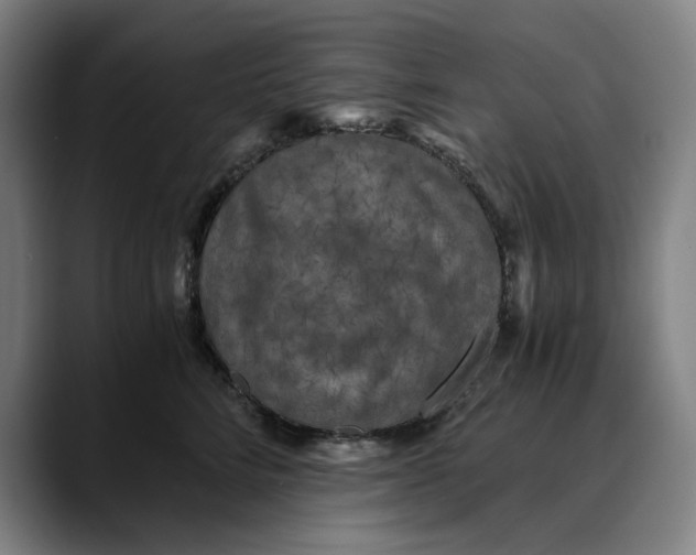 X0000089690712200707121336