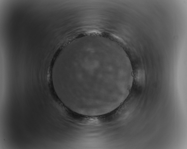 X0000089690715200707121336